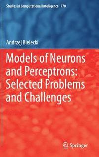 bokomslag Models of Neurons and Perceptrons: Selected Problems and Challenges