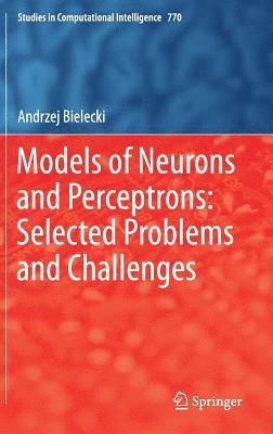 Models of Neurons and Perceptrons: Selected Problems and Challenges