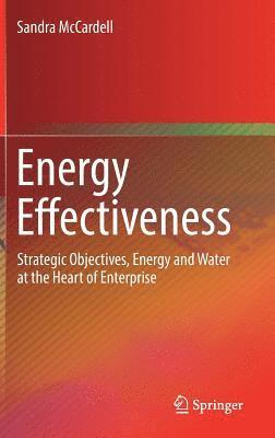 Sandra McCardell - Energy Effectiveness, Inbunden