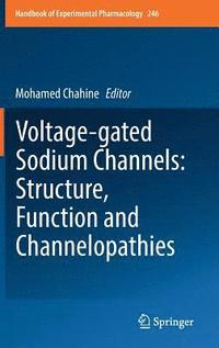 bokomslag Voltage-gated Sodium Channels: Structure, Function and Channelopathies