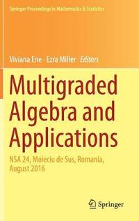 bokomslag Multigraded Algebra and Applications