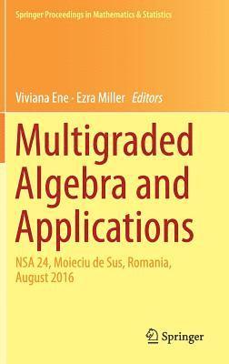 bokomslag Multigraded Algebra and Applications