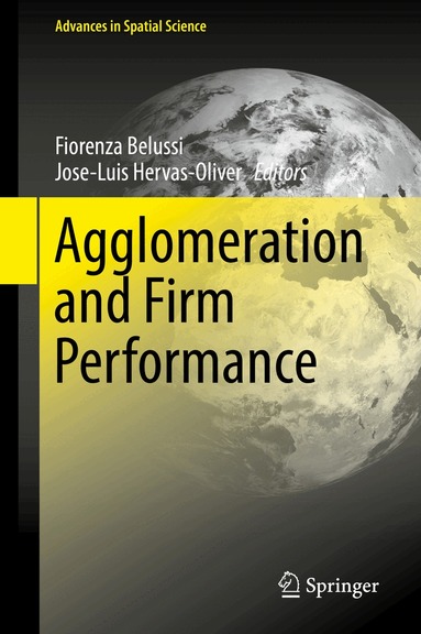 Fiorenza Belussi, Jose-Luis Hervas-Oliver - Agglomeration and Firm Performance, Inbunden
