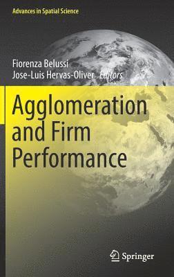 bokomslag Agglomeration and Firm Performance