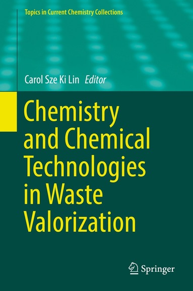 bokomslag Chemistry and Chemical Technologies in Waste Valorization