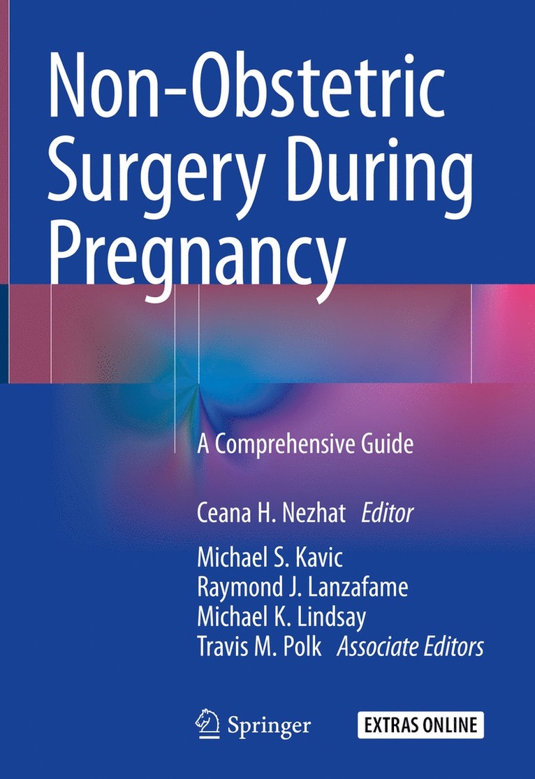 Ceana H. Nezhat, Michael S. Kavic, Raymond J. Lanzafame, Michael K. Lindsay, Travis M. Polk - Non-Obstetric Surgery During Pregnancy, Inbunden