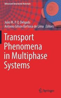 bokomslag Transport Phenomena in Multiphase Systems