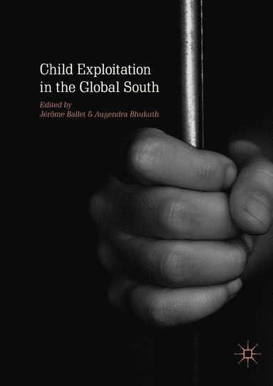 bokomslag Child Exploitation in the Global South