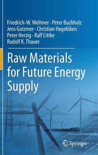 bokomslag Raw Materials for Future Energy Supply