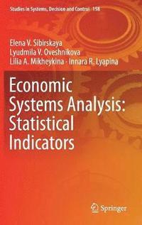 bokomslag Economic Systems Analysis: Statistical Indicators