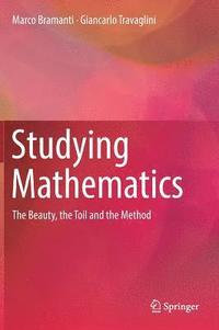 bokomslag Studying Mathematics