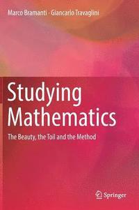 bokomslag Studying Mathematics