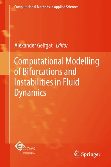 Alexander Gelfgat - Computational Modelling of Bifurcations and Instabilities in Fluid Dynamics, Inbunden