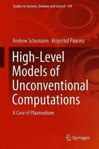 bokomslag High-Level Models of Unconventional Computations