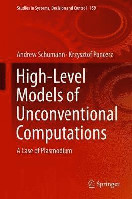 High-Level Models of Unconventional Computations 1