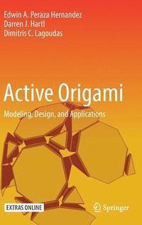 bokomslag Active Origami