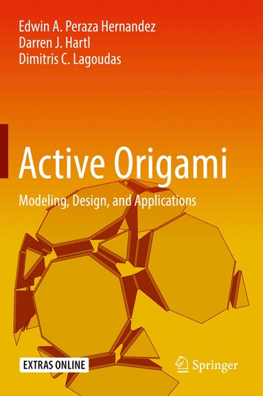 bokomslag Active Origami