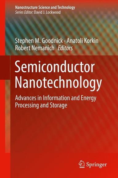 bokomslag Semiconductor Nanotechnology