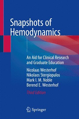 Snapshots of Hemodynamics 1