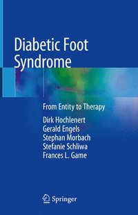 bokomslag Diabetic Foot Syndrome