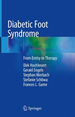 bokomslag Diabetic Foot Syndrome