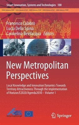 New Metropolitan Perspectives 1