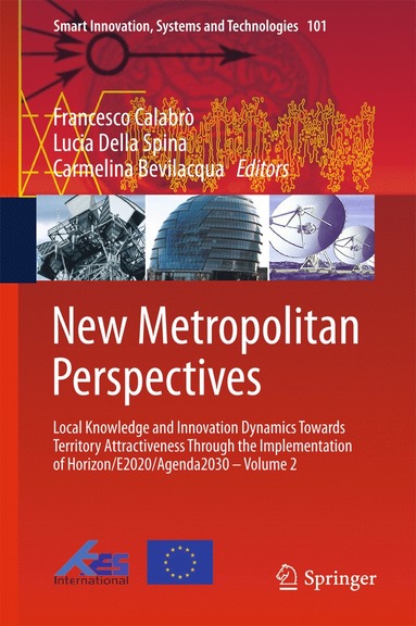 bokomslag New Metropolitan Perspectives