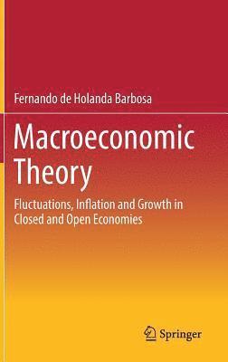 bokomslag Macroeconomic Theory