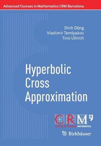 bokomslag Hyperbolic Cross Approximation