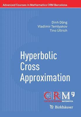 Hyperbolic Cross Approximation 1