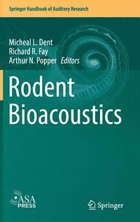 bokomslag Rodent Bioacoustics