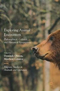 bokomslag Exploring Animal Encounters