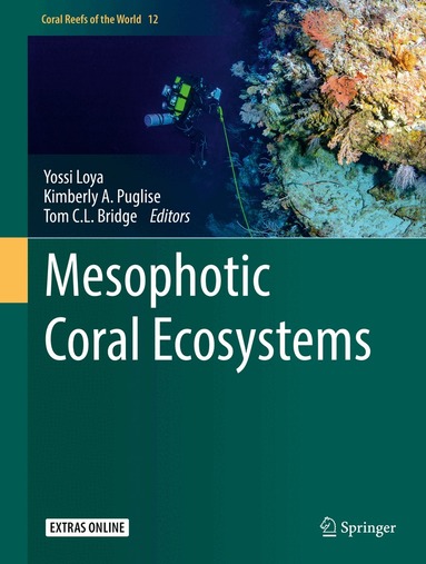 Yossi Loya, Kimberly A. Puglise, Tom C.L. Bridge - Mesophotic Coral Ecosystems, Inbunden