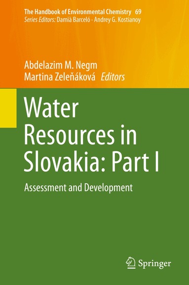 Abdelazim M. Negm, Martina Zeleňáková - Water Resources in Slovakia: Part I, Inbunden