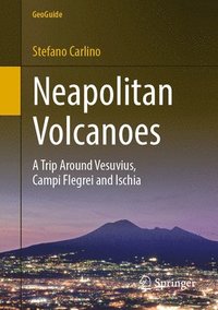 bokomslag Neapolitan Volcanoes