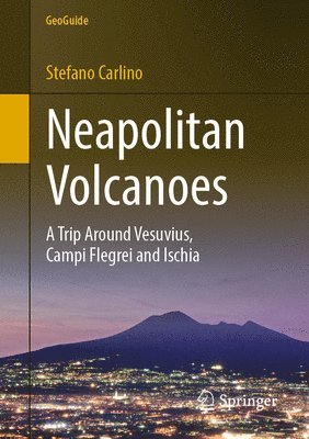 bokomslag Neapolitan Volcanoes