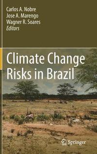 bokomslag Climate Change Risks in Brazil