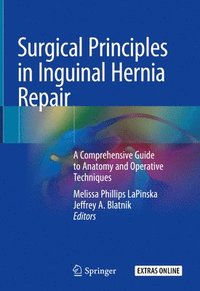 bokomslag Surgical Principles in Inguinal Hernia Repair