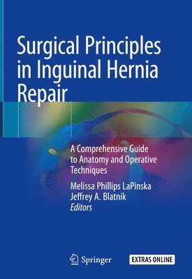 bokomslag Surgical Principles in Inguinal Hernia Repair