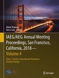bokomslag IAEG/AEG Annual Meeting Proceedings, San Francisco, California, 2018 - Volume 4