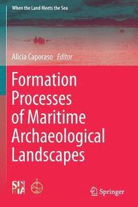 bokomslag Formation Processes of Maritime Archaeological Landscapes