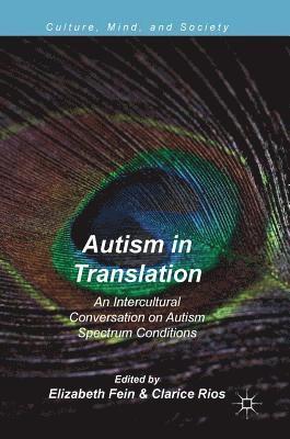 bokomslag Autism in Translation