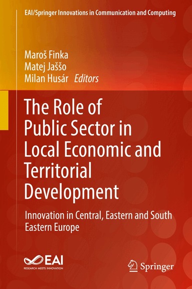 Maroš Finka, Matej Jaššo, Milan Husár - Role of Public Sector in Local Economic and Territorial Development, Inbunden