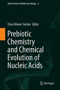 bokomslag Prebiotic Chemistry and Chemical Evolution of Nucleic Acids