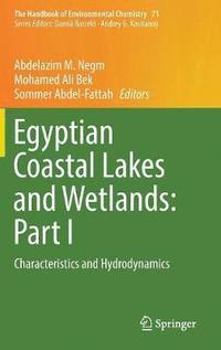 bokomslag Egyptian Coastal Lakes and Wetlands: Part I