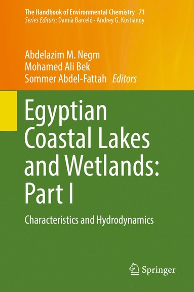 bokomslag Egyptian Coastal Lakes and Wetlands: Part I