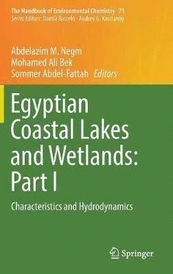 Egyptian Coastal Lakes and Wetlands: Part I 1