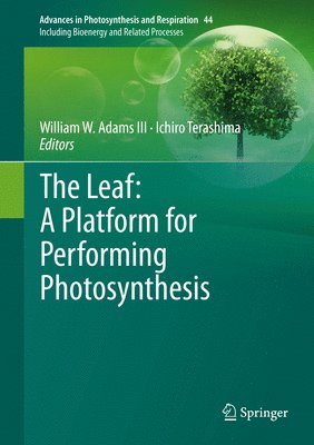 bokomslag The Leaf: A Platform for Performing Photosynthesis