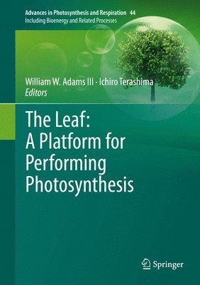 The Leaf: A Platform for Performing Photosynthesis 1