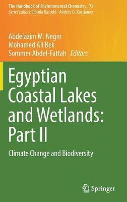 bokomslag Egyptian Coastal Lakes and Wetlands: Part II